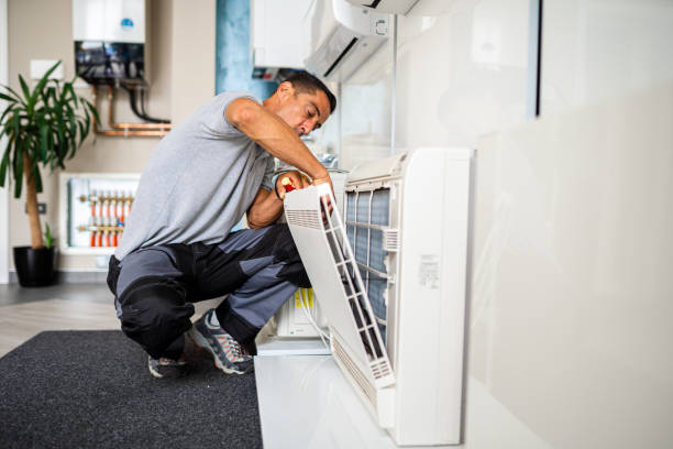 Best Home Air Vent Cleaning  in Ravenna, MI