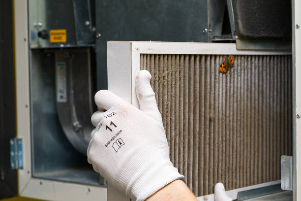 Best Best Air Duct Cleaning Near Me  in Ravenna, MI