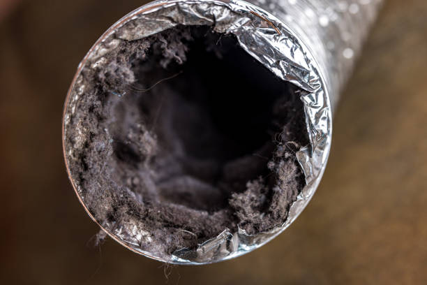 Best Local Air Duct Cleaning Services  in Ravenna, MI